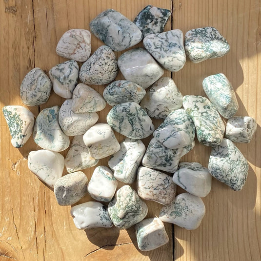 Tree Agate Tumblestone for Self Esteem & Stability