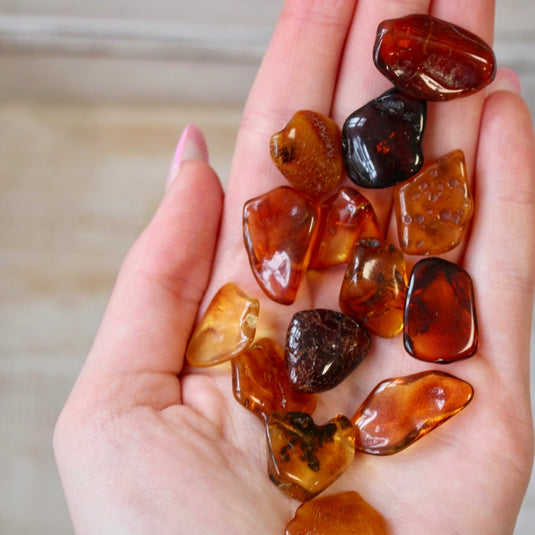 Baltic Amber - Tumblestones - Keshet Crystals
