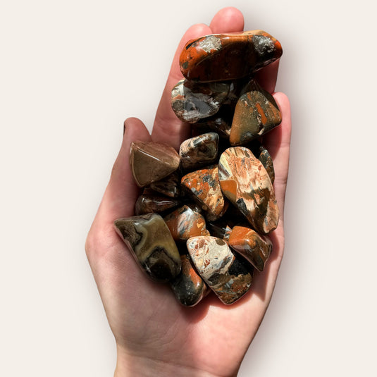 Cappuccino Jasper in Hand - Tumblestones - Keshet Crystals in Petersfield