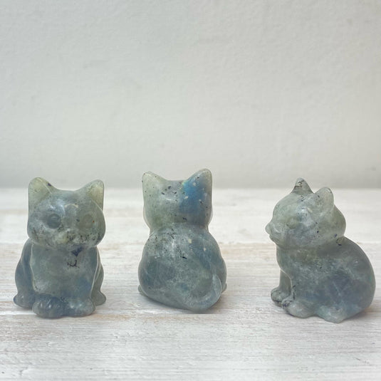 Crystal Cat Carving - Carvings - Keshet Crystals in Petersfield