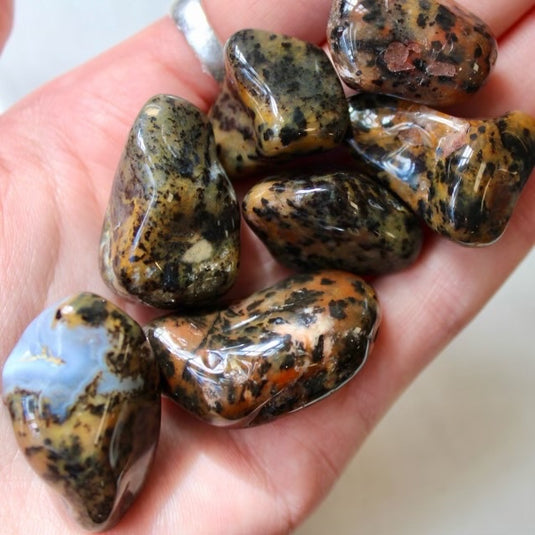 Cheetah Agate - Tumblestones - Keshet Crystals in Petersfield