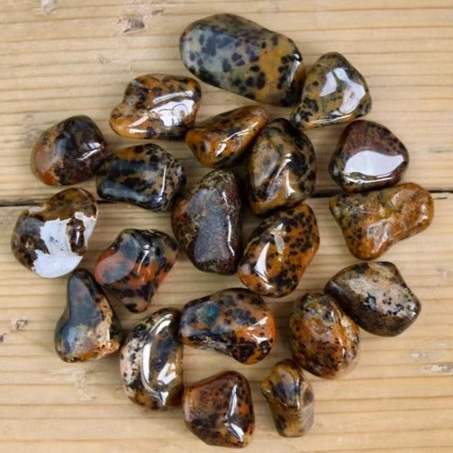 Cheetah Agate - Tumblestones - Keshet Crystals in Petersfield