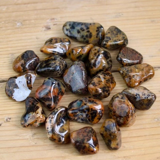 Cheetah Agate Crystals - Tumblestones - Keshet Crystals in Petersfield