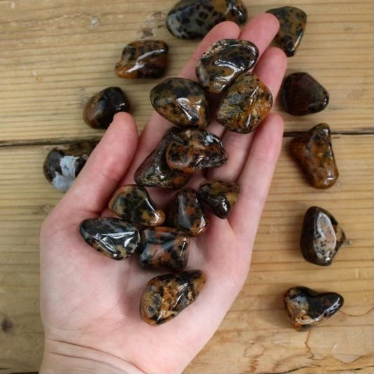 Cheetah Agate in Hand - Tumblestones - Keshet Crystals in Petersfield