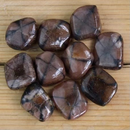 AA Grade Chiastolite - Tumblestones - Keshet Crystals in Petersfield