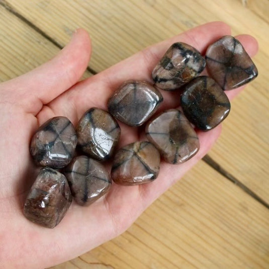 Chiastolite in Hand - Tumblestones - Keshet Crystals in Petersfield