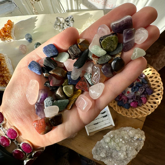 A person's hand holding a handful of small, colourful stones. The stones are various shapes and sizes, and include colours such as purple, green, red, black, and white. The background shows a plant and some jewellery.