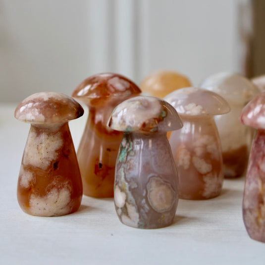 Flower Agate Mushrooms - Carvings - Keshet Crystals in Petersfield