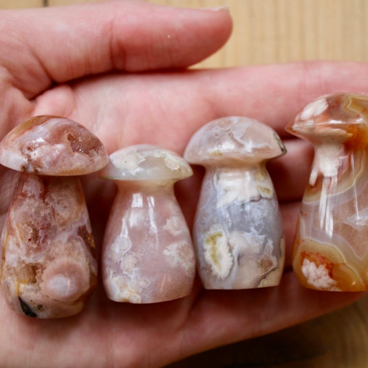 Flower Agate Mushrooms in Hands - Carvings - Keshet Crystals in Petersfield