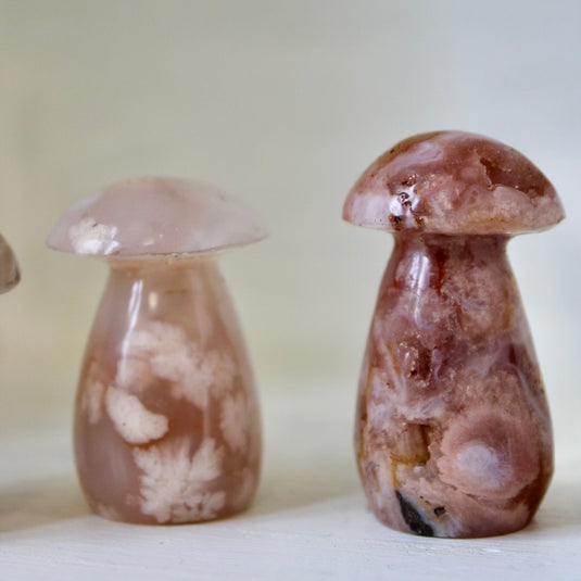 Flower Agate Mushrooms Standing Up - Carvings - Keshet Crystals in Petersfield