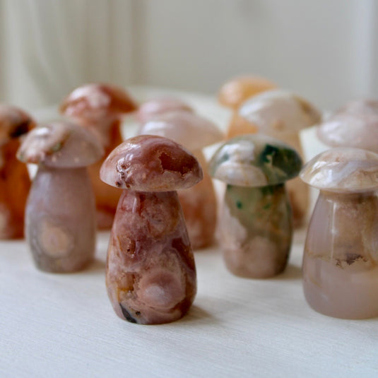 Flower Agate Mushrooms - Carvings - Keshet Crystals in Petersfield
