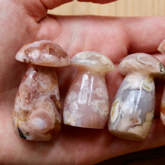 Three Flower Agate Mushrooms - Carvings - Keshet Crystals in Petersfield