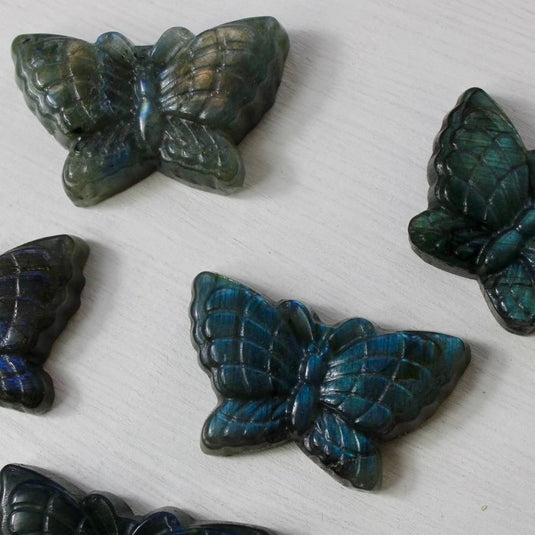 A stunning collection of labradorite butterfly carvings, shimmering with iridescent colours.