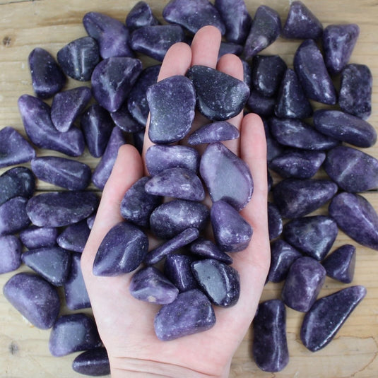 Lepidolite In Hand - Tumblestones - Keshet Crystals in Petersfield