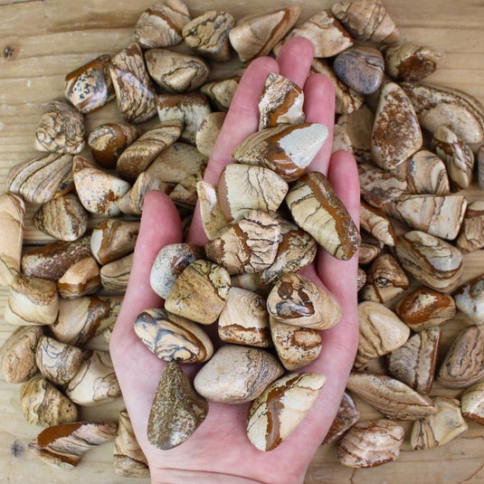 Picture Jasper in Hand - Tumblestones - Keshet Crystals in Petersfield