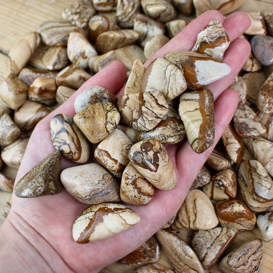 Picture Jasper Crystal in Hand - Tumblestones - Keshet Crystals in Petersfield