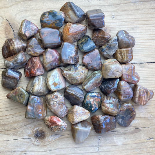 Petrified Wood - Tumblestones - Keshet Crystals in Petersfield
