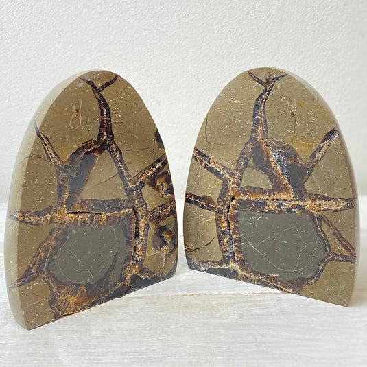 Septarian Bookends - Carvings - Keshet Crystals in Petersfield