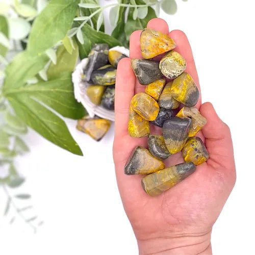 BumbleBee Jasper Tumblestone for Personal Growth & Positivity in Times of Stress - Tumblestones - Keshet Crystals in Petersfield